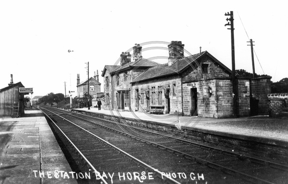 Bay Horse circa 1902